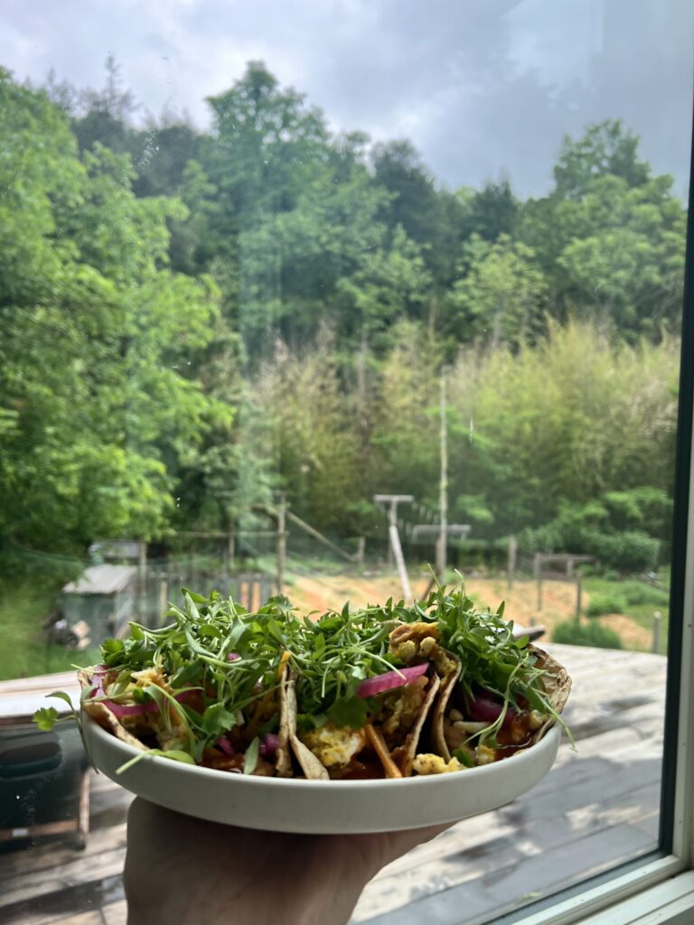 Ultimate Breakfast Tacos